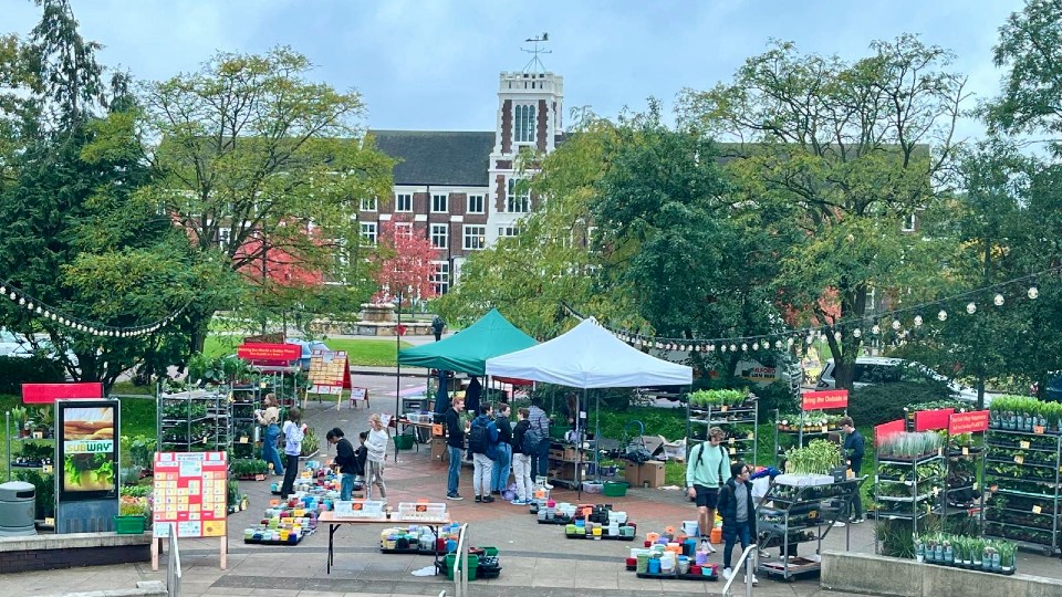 A house plant sale happening outside the Loughborough Students' Union. There are stalls with large stands filled with plants and flowers.